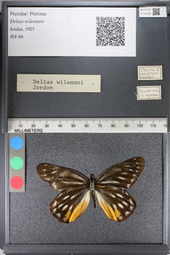 Media type: image;   Entomology 128298